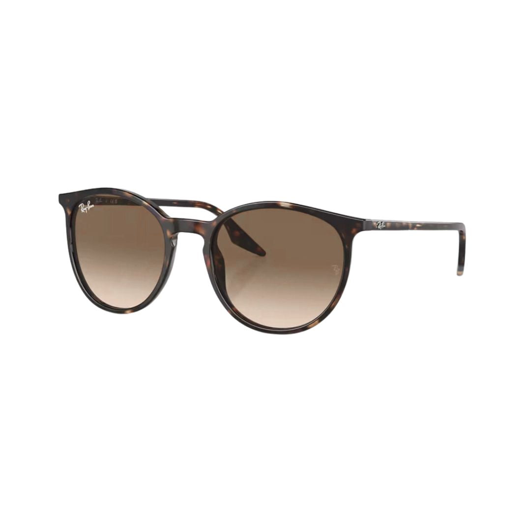 RayBan 2204