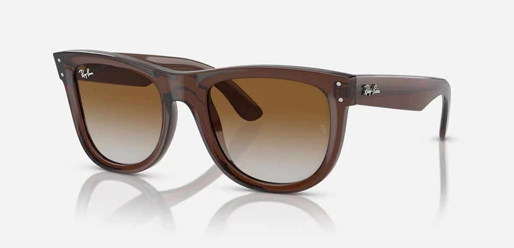 RayBan 0502S Wayfarer Reverse